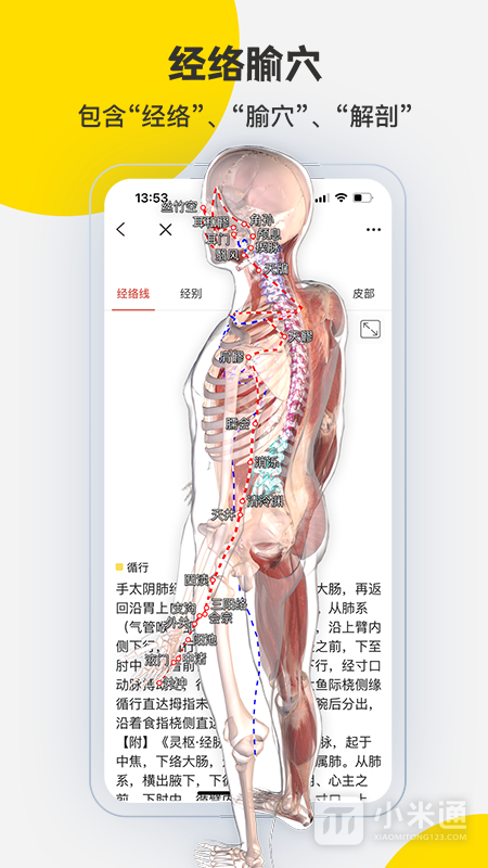 3DBody解剖